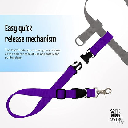 The Buddy System Hands Free Dog Leash, Adjustable Leash for Running, Jogging, Training and Service Dogs, Great for Small, Medium and Large Dogs, Made in USA (Purple, X-Large Belt (33"- 60" Waist))
