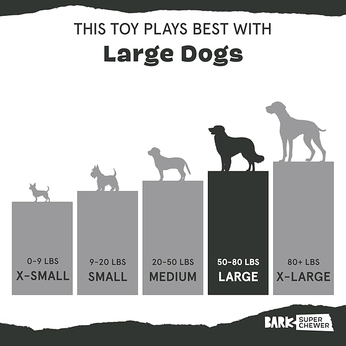 Barkbox Fowl Play Treat Dispensing Hard Core Plush Toy for Aggressive Chewers - Large