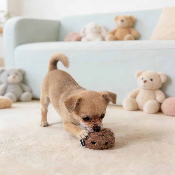 Dog Chocolate Cookies Toys, Plush Chew Squeaky Toy for Small & Medium Dogs, Funny Dogs Gifts Dog Party Toys
