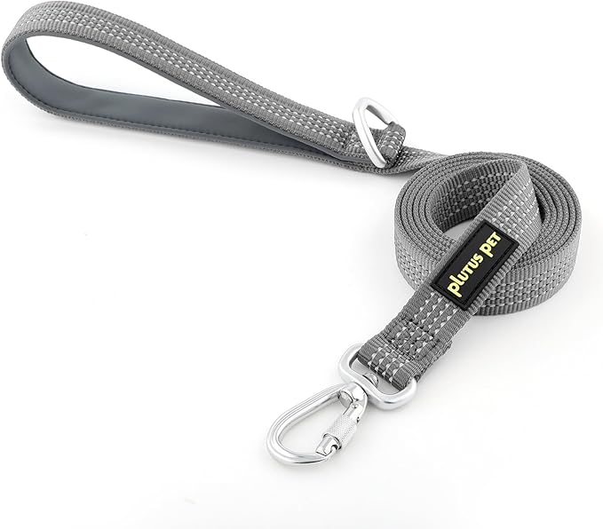 Plutus Pet Heavy Duty Dog Leash with Lockable Aluminum Carabiner, 4/6 Feet Long, Double-Sided Reflective Nylon, Padded Handle, for Puppy, Small, Medium and Large Dogs (Gray, 4/5" x 4')