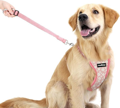 VavoPaw Dog Seat Belt, Safety Vest Dog Car Harness with Adjustable Buckle Dog Seat Belt for Vehicle Nylon Pet Safety Seat Belts Heavy Duty(M, Pink Daisy)