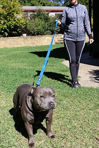 Primal Pet Gear Dog Leash 8ft Long - Blue - Traffic Padded Two Handle - Heavy Duty - Double Handles Lead for Control Safety Training - Leashes for Large Dogs or Medium Dogs - Dual Handles Leads - Image 4