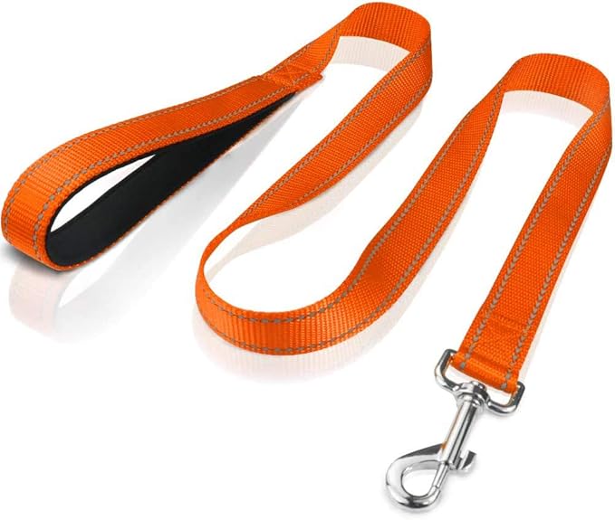 FunTags 4FT Reflective Dog Leash with Soft Padded Handle for Training,Walking Lead for Medium & Small Dogs,3/4 Inch Wide,Orange