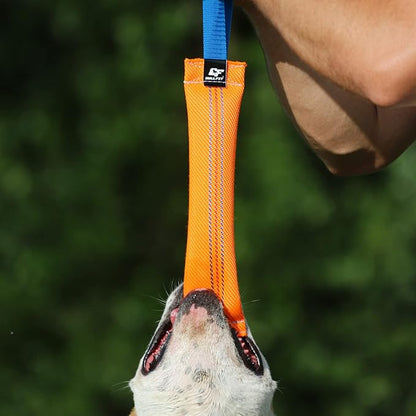 K9 Dog Bite Tug Toy with 2 Strong Handle - Made of Durable & Tear-Resistant Fire Hose - Perfect for Tug of War, Fetch & Puppy Training - Ideal Pull Toy for Medium to Large Dogs, 10 Inches