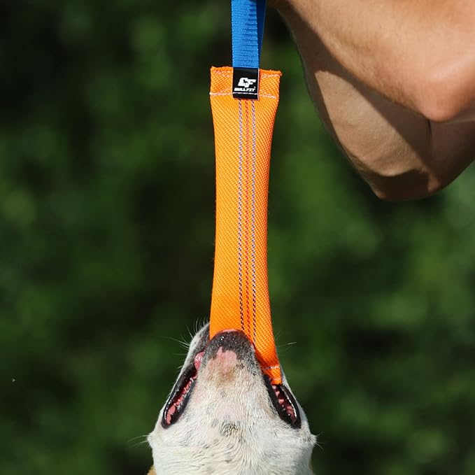 K9 Dog Bite Tug Toy with Strong Handle - Made of Durable & Tear-Resistant Fire Hose - Perfect for Tug of War, Fetch & Puppy Training - Ideal Pull Toy for Medium to Large Dogs, 12 Inches