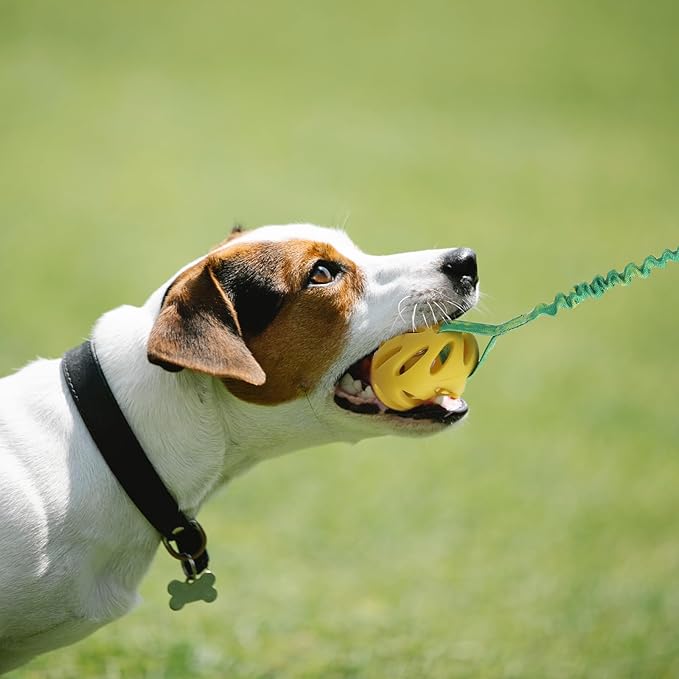 Dog Ball On a Rope Dog Toy, Dog Rope Toys with Handle for Tug, Tug Ball Toy for Small Medium Large Dogs Ideal for Interactive Dog Training and Dogs of All Ages | 45cm (18inches) in Size