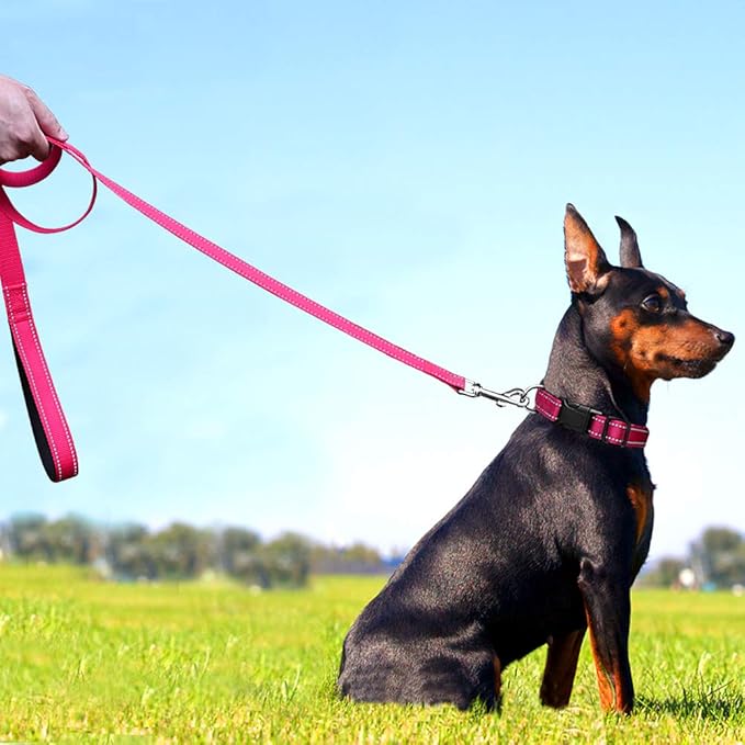 FunTags 6FT Reflective Dog Leash with Soft Padded Handle for Training,Walking Lead for Medium & Small Dogs,3/4 Inch Wide,HOTPINK