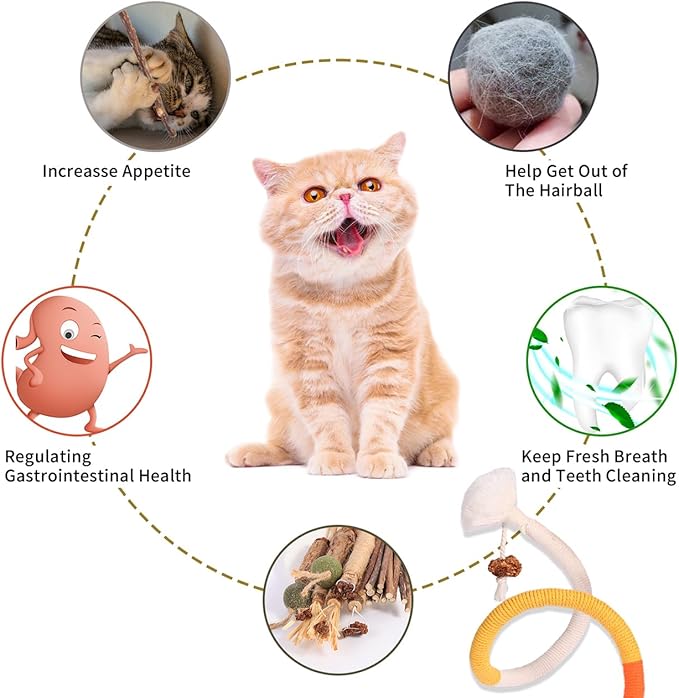 Kyouki Cat Toys Cat Chew Toys, Silvervine Sticks Catnip Rope Toys for Cats Teeth Cleaning, Kitten Dental Care, Kitty for Indoor Cats Increase Appetite,Enhances Oral & Dental Health (21 Pack)
