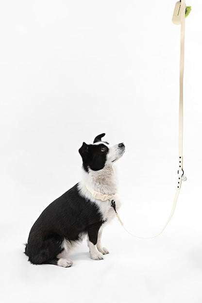 WLK1006L-5SET Luna Large 8FT Adjustable 6-in-1 Waterproof Hands-Free Leash and Collar with LED Flashlight, Bag Dispenser, and Poop Bag Holder, Bailey