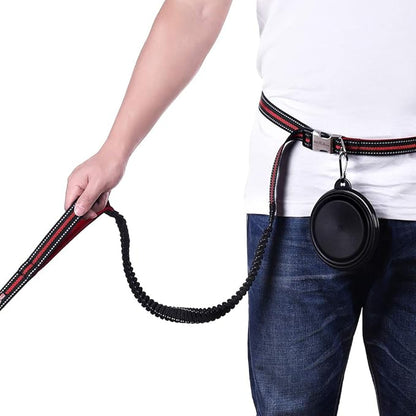 Dog Training Leash 6ft for Large Medium Dogs-2 Padded Traffic Handle Rope- Heavy Duty Shock Absorbing Bungee- Optional Hands Free for Dog Training, Walking, Jogging & Biking (Red)