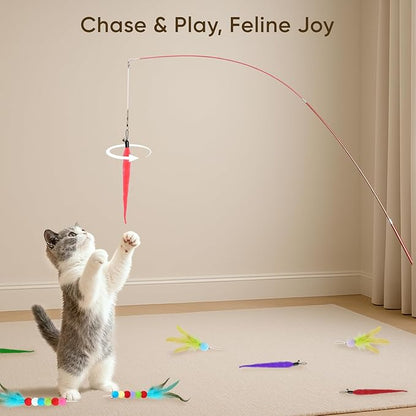 Cat Toys for Indoor Cats, 13 Packs Interactive Cat Wand Toy Set with Feather Toys & Teasers, Fun Cat Toys for Exercise, Playtime and Boredom Relief