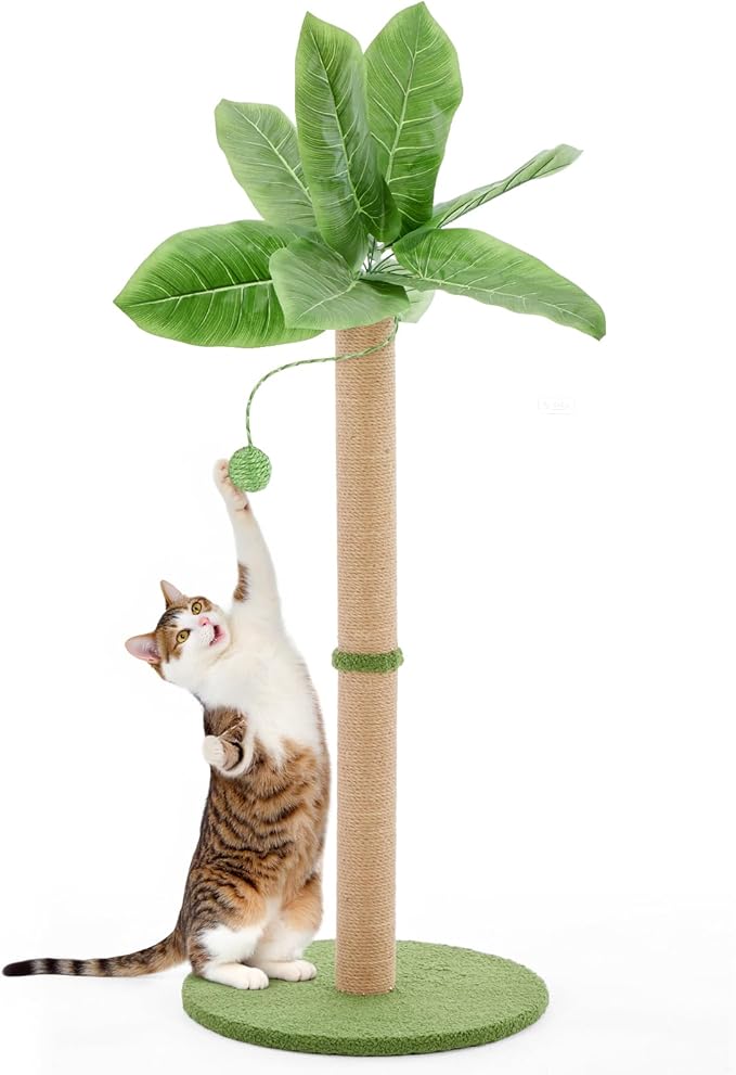 DUMOS Small 33inch Cat Scratching Post for Indoor Cats, Cat Scratcher Scratching Posts with Dangling Ball for Adult, Palm Tree Cat Scratch Post for Kittens, Green