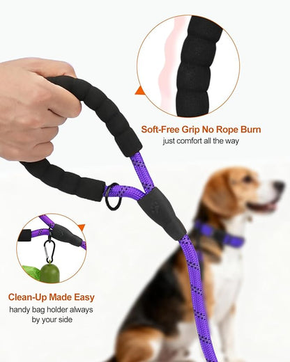 Joytale Dog Leash for Small Dogs, Heavy Duty Nylon Leashes with Comfortable Padded Handle and Highly Reflective Threads, Ideal for Walking and Training, Purple, 5'×3/8''