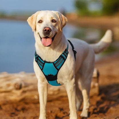 rabbitgoo Dog Harness No Pull with 2 Leash Clips, Adjustable Soft Padded, Reflective Oxford No Choke Pet Vest with Easy Control Handle for Large Dogs, Teal, XL