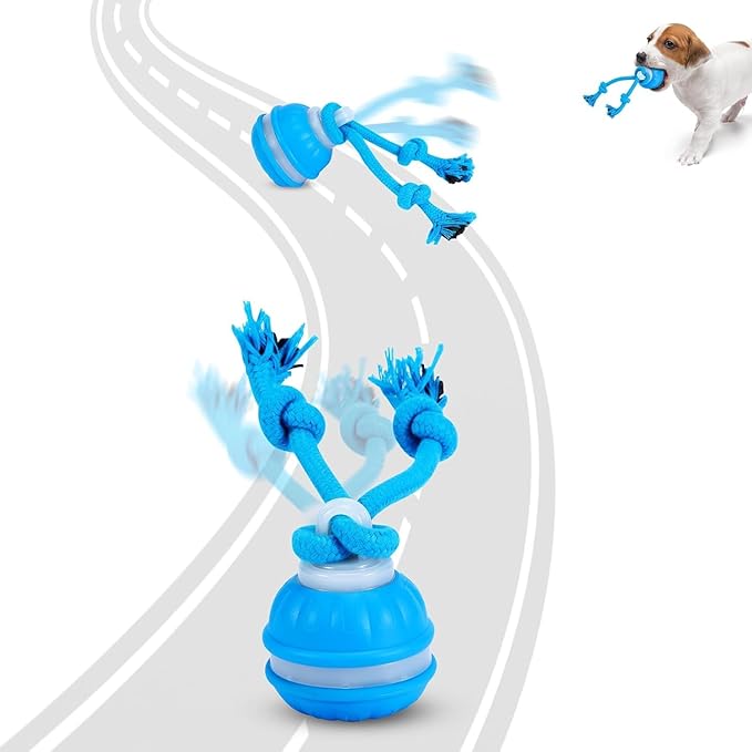 Interactive Smart Ball Dog Toy with Rope, Blue