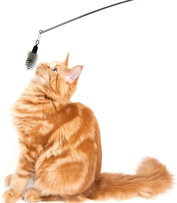 10 Pieces Cat Feather Toys Replacement Insect Cat Toy with Bell Wand Refills Cats Toy Replacement Natural Bird Feathers for Cats Toys