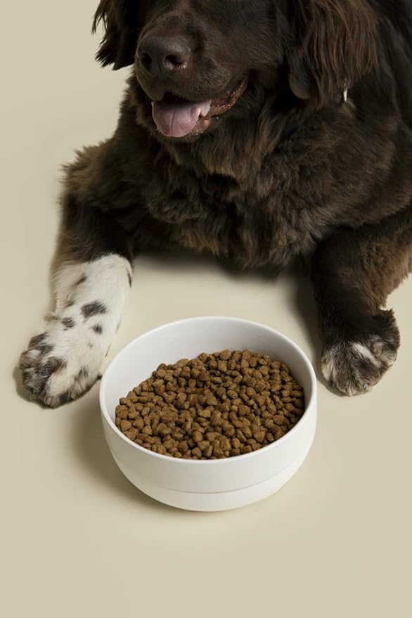 Waggo Ceramic Cling Dog Bowl with Rubber Bottom for Small and Large Breeds - Heavyweight Bowl with Anti-Skid Non Slip Rubber Bottom, Dishwasher Safe (Small, Light Grey)
