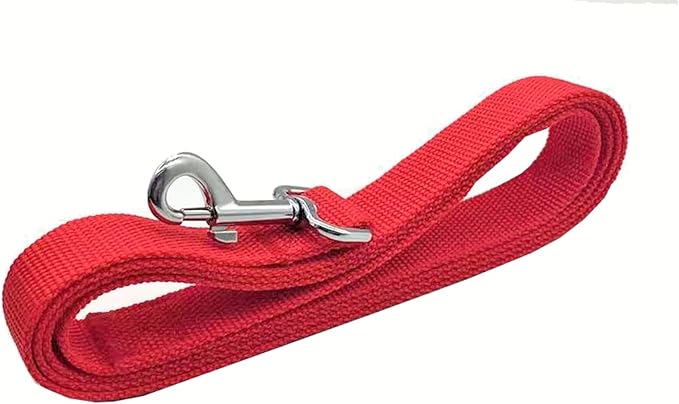 TAIAN 4FT/5FT/6FT Strong Dog Leash, Nylon Dog Leashes for Small Medium Large Dogs (1 in x 4 ft, Red)