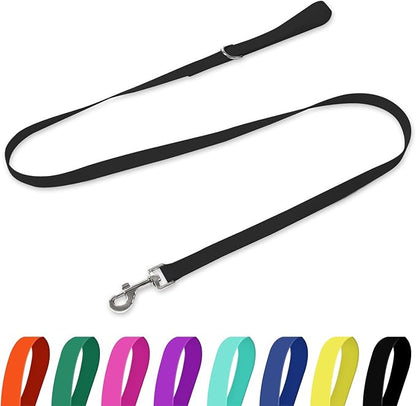 Waterproof Dog Leash, 5/6 FT Durable Odor-Proof Dog Leashes with Strong Metal Hooks Fits Small Medium or Large Dogs (Black, 5FT - 3/4 inch Width)