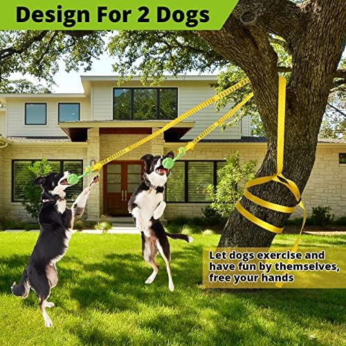 Dog Hanging Bungee Tug Toy for Two Dogs: Interactive Tether Tug-of-War for Pitbull Small to Large Dogs to Exercise - Durable Retractable Tugger Dog Rope Toy with 2 Chew Rope Toys - Image 4