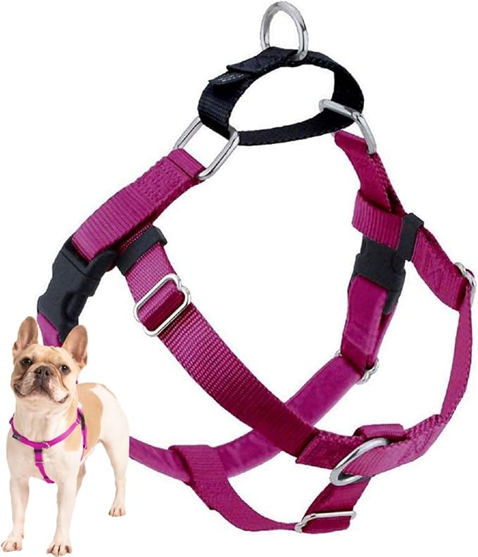 2 Hounds Design Freedom No Pull Dog Harness, Adjustable Harness, Easy Walking & Comfortable Control, Fits Small, Medium & Large Dogs, Solid Colors, Made in USA, 5/8" XS, Raspberry