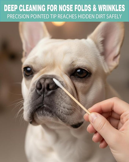 Pointed Cotton Swabs 6 Inch (400 Count) - Precision Tapered Wooden Cotton Buds for Gun Cleaning, Makeup Fix & Dog Ear Care | Lint Free & Sturdy Applicators