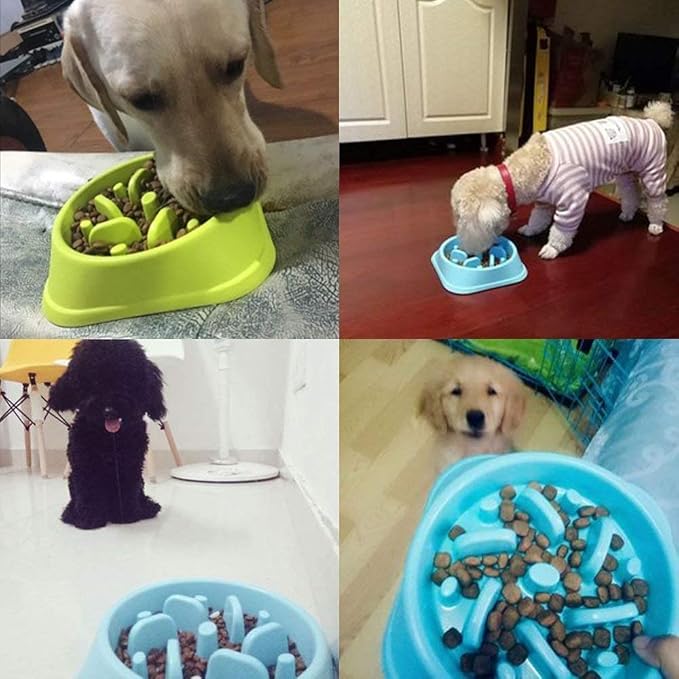 WenYing Slow Feeder Puzzle Dog Bowls, Interactive Bloat Stop Bowl, Food Water Fun Feeding, Non-Slip Anti Choke Healthy Diet, Blue