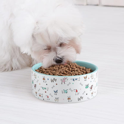 FE FUN ELEMENTS Ceramic Dog Bowls for Small Dogs, 16 Fl Oz Heavy Food and Water Bowl With Adorable Patterns (Small, Blue)