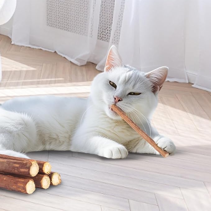 Kyouki Cat Toys Cat Chew Toys, Silvervine Sticks Catnip Rope Toys for Cats Teeth Cleaning, Kitten Dental Care, Kitty for Indoor Cats Increase Appetite,Enhances Oral & Dental Health (20 Pack)