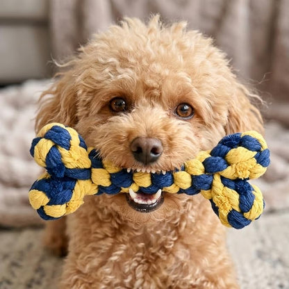 Dog Rope Toys Set with Bone-Shaped Chew Toy, Durable Cotton Rope Toys for Teething, Training, and Interactive Play for Small to Medium Dogs (Blue & Yellow)
