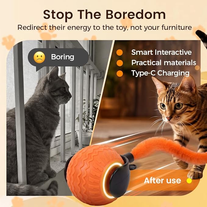 Interactive Toys for Cats, 2026 New Interactive Cat Toy Ball, Automatic Moving Cat Toy for Indoor Use, Rechargeable Feather Tail Cat Toy with Stimulation for Small Medium Large Cats (2 * Orange)