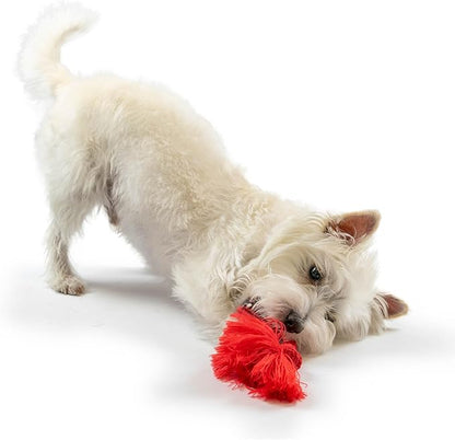 Playology Dri Tech Rope Medium Chew Toy, Peanut Butter & Beef, 2-Pack