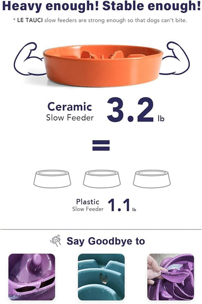 LE TAUCI Ceramic Slow Feeder Bowl, 1.5 Cups for Small Medium Breed Dogs, Puzzle Dish to Slow Down Eating for Fast Eaters