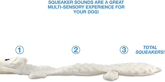 Bow Wow Pet Squeaky Polar Bear Dog Toy - Tug, Fetch & Teasing Toy - 24 Inches