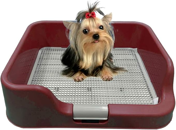 PS KOREA] Indoor Dog Potty Tray - with Protection Wall Every Side for No Leak, Spill, Accident - Keep Paws Dry and Floors Clean (Wine)