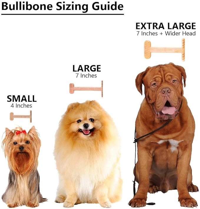 Bullibone Nylon Dog Chew Toy for Aggressive Chewers - Dental Hygiene Bone with Bacon Flavor, Durable Tough Chew Toys for Extra Large Dogs, Indestructible Dog Bone - Single