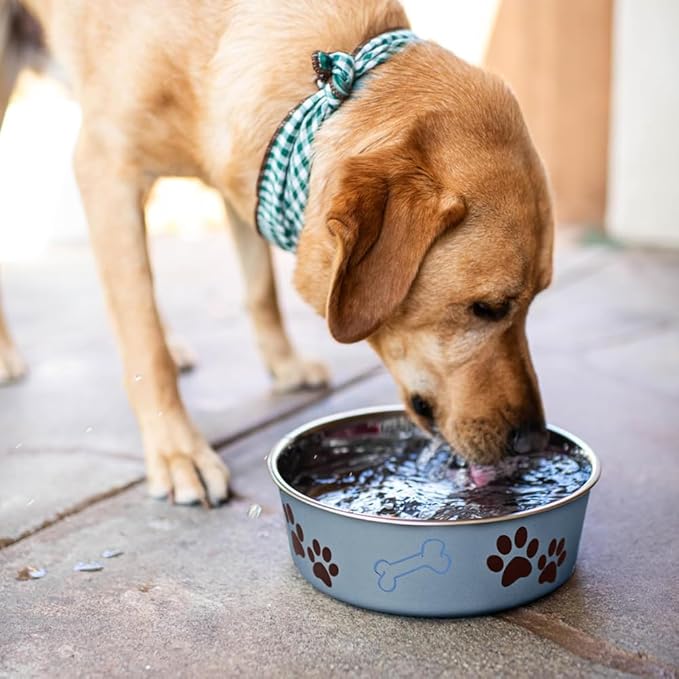 Loving Pets Bella Dog Bowls- Stainless Steel Dog & Cat Bowls - Spill Proof Dog Food Bowl, Cat Bowl, Puppy Essentials & Pet Supplies Great for Home & Travel (Medium 20-35 lbs, Blueberry)