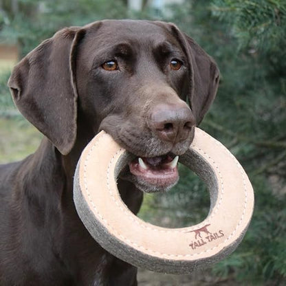 Tall Tails Ring Natural Leather Fetch Toy for Dogs