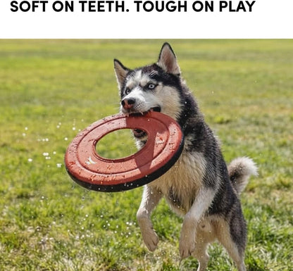 OllyDog Super Flyer Dog Flying Disc – Floating Fetch Toy for Water Play, Soft Eco-Friendly Recycled Fabric, Gentle on Teeth, 11" for Medium & Large Dogs (Cider) - Image 3