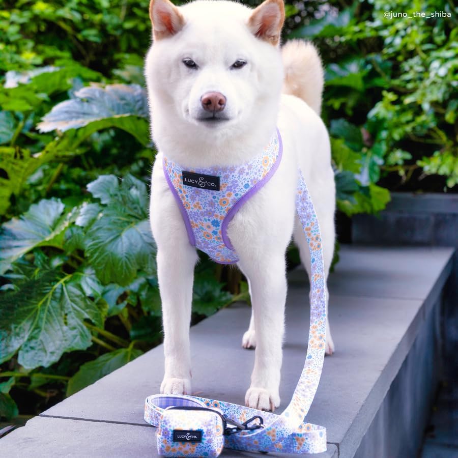 Lucy & Co. Among the Wildflowers Everyday Dog Poop Bag Holder - Leak Proof Dispenser - Hygienic Pet Poop Pickup - Purple Coral Floral - Image 4