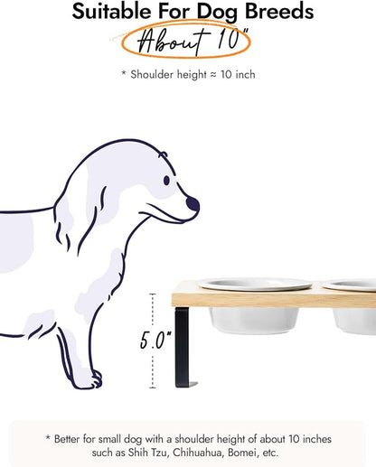 Elevated Dog Bowls, Raised Dog Bowl Stand with Two 5.1 inch Ceramic Bowls, Non-Slip Cat Food and Water Dish for Small and Medium Breed, White