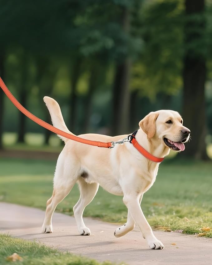 Joytale Dog Collars for Medium Dogs, Comfortable Double-Sided Reflective Nylon Collar for Night Safety, Adjustable Quick-Release for Active Pets, Orange, M (1" Width)