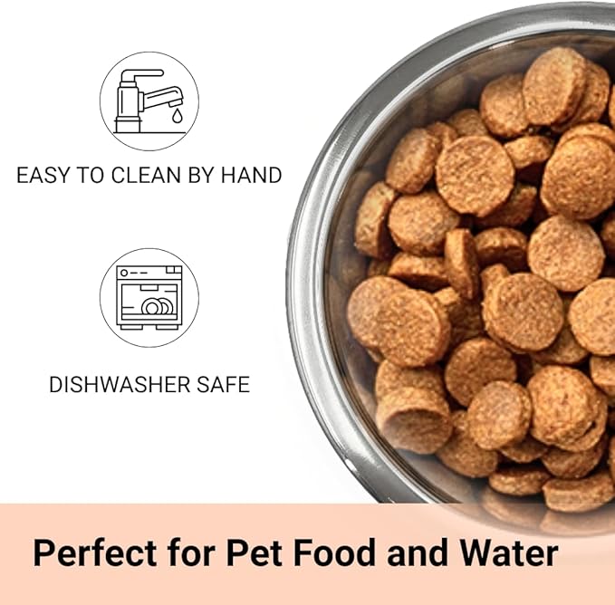 Stainless Steel Dog and Cat Bowls, Pack of 2, Replacement Bowl for Pets (29oz)