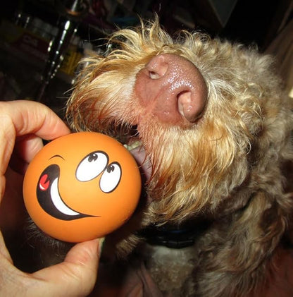 4 Pack Squeaky Balls for Dogs, 2.4 Inch Eco-Friendly Rubber Dog Squeaky Toy,Interesting Expression patternsToys for Dogs (Orange, Green, Pink, Light Blue)