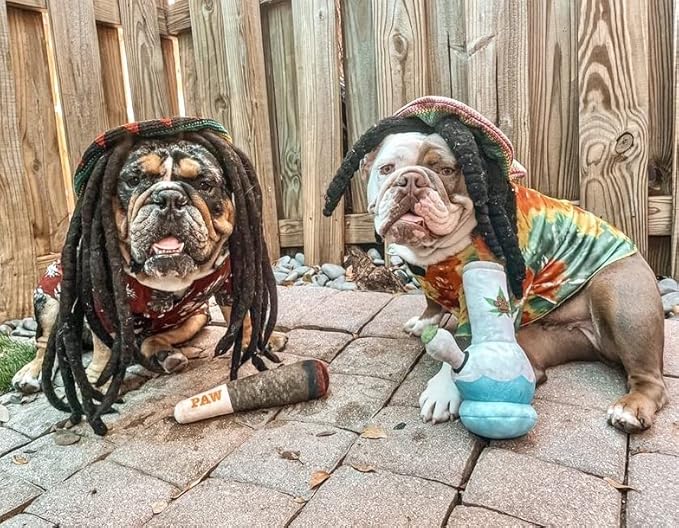 Nestpark Puppy Chiefer 3000 - Funny Dog Toys - Plush Squeaky Weed for Medium, Small and Large - Cute Dog Gifts for Dog Birthday - Cool Stuffed Dog Toys