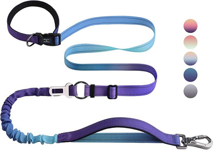 Roses&Poetry Hands Free Dog Leash for Medium Large Dogs Heavy Duty, No Pull Bungee Dog Running Waist Leash for Walking Training with Car Seatbelt 4-6FT