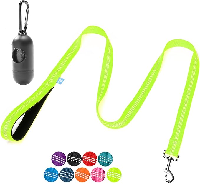 BAAPET 5 Feet Nylon Dog Leash with Triple Reflective Threads and Comfortable Padded Handle for Walking, Training Lead Small Puppy, Medium and Large Dogs (1.0'' x 5 FT, Green)