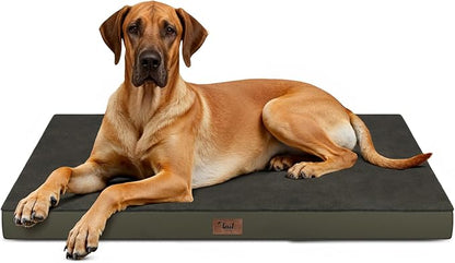 Flat Extra Large Dog Bed, Jumbo Waterproof Dog Bed for Large Dogs, Orthopedic Egg Crate Foam Pet Mat with Removable Washable Cover, Coffee