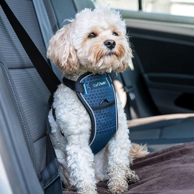 CarSafe Crash Tested Dog Safety Harness - Crash Tested to 32Kg/70lbs, Safely Secure Dog in The Car, Comfortable and Padded Design. for Toy, Small, Medium and Large Dogs (Size X-Small)