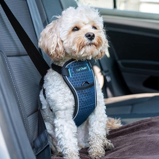 CarSafe Crash Tested Dog Safety Harness - Crash Tested to 32Kg/70lbs, Safely Secure Dog in The Car, Comfortable and Padded Design. for Toy, Small, Medium and Large Dogs (Size X-Small)